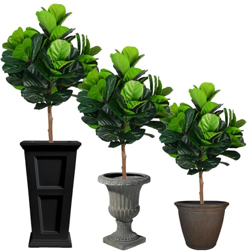 Silky Flower Store Artificial Fiddle Leaf Fig Tree, Faux Ficus Plant, Indoor Outdoor Potted Fake Plant, 3ft Tall 2 2 Product: Artificial Plants Indoor-Fiddle Leaf Fig Tree Artificial Tree - 3ft Tall Faux Ficus Plant, Potted Fake Plant for Indoor and Outdoor Home Garden Decor