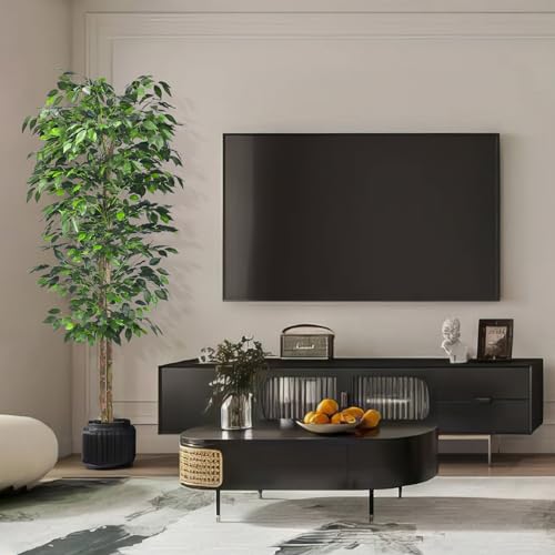 Product: HAIHONG 2Packs 6FT Artificial Ficus Trees with Realistic Leaves and Natural Trunk, Faux Ficus Tree with Sturdy Plastic Nursery Pot, Fake Ficus Tree for Office Home Farmhouse for Indoor Outdoor Decor