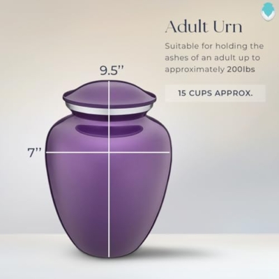 Silky Flower Store Adult Personalized Hummingbird Cremation Urn, Large Purple Funeral Urn, Custom Engraved Metal Ashes Memorial, 200 lbs 13 13 Product: Geturns Embrace Adult Personalized Humming Bird Cremation Urns for Human Ashes I Large Purple Funeral Urn for Men and Women I 200 lbs