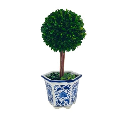 Product: Galt International Preserved Boxwood Topiary Tree in Blue & White Ceramic Pot - Plant and Table Centerpiece Stunning Greenery and Plant Decor for Home 5.9" Diameter Topiary 14" Tall