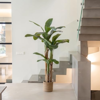 Product: Maia Shop 6ft Artificial Banana Tree Plant for House, Apartment or Office – Realistic Fake Indoor Plants for Living Room, Kitchen, Bedroom, Entryway or Bathroom – Faux Greenery for Home Décor