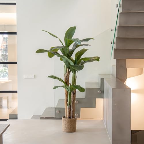 Product: Maia Shop 6ft Artificial Banana Tree Plant for House, Apartment or Office – Realistic Fake Indoor Plants for Living Room, Kitchen, Bedroom, Entryway or Bathroom – Faux Greenery for Home Décor