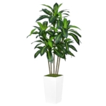 Product: ASTIDY Artificial Dracaena Tree 5FT - Faux Tree with White Tall Planter - Fake Tropical Yucca Floor Plant in Pot - Artificial Silk Tree for Home Office Living Room Decor Indoor