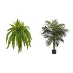 Product: Nearly Natural 35" Boston Fern (Set of 2) Silk Plants + 4ft. Golden Cane Palm Tree