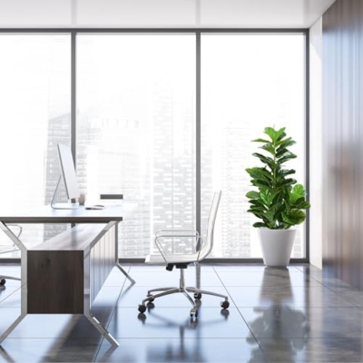 Product: Fiddle Leaf Fig Tree 4ft Artificial Tree in Pot, 2 Pack Faux Ficus Lyrata with Realistic Leaves, Fake Ficus Trees Artificial Plant for Home Living Room Indoor Outdoor Decor