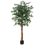 Product: SOGUYI 5ft Artificial Ficus Tree with Natural Wood Trunk, Silk Fake Ficus Tree in Plastic Nursery Pot, Faux Plant for Office Home, Indoor Outdoor Decor, 1 Pack