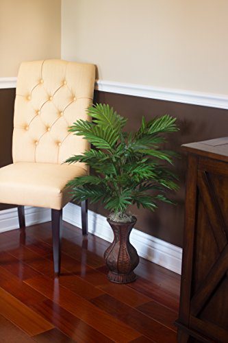 Silky Flower Store Nearly Natural Areca Palm Silk Plant in Urn, Artificial Indoor Faux Palm Decor for Home Office 32.5cm 2 2 Product: Nearly Natural Areca Palm Silk Plant in Urn - Lifelike Indoor Decor for Home & Office