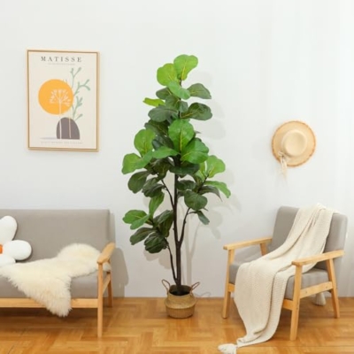 Silky Flower Store Artificial Fiddle Leaf Fig Tree, 6ft Faux Ficus Plant, Black Pot, Indoor Outdoor Décor, 180CM 13 13 Product: LUWENER 6ft Artificial Fiddle Leaf Fig Tree Plant,Fake Ficus Lyrata in Pot,Ficus Faux Plant Artificial Trees for Office Indoor Outdoor Garden Living Room Home Decor 1PCS-71in