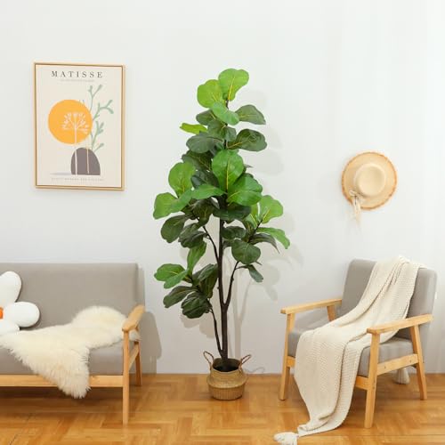 Silky Flower Store Artificial Fiddle Leaf Fig Tree, 6ft Faux Ficus Plant, Black Pot, Indoor Outdoor Décor, 180CM 6 6 Product: LUWENER 6ft Artificial Fiddle Leaf Fig Tree Plant,Fake Ficus Lyrata in Pot,Ficus Faux Plant Artificial Trees for Office Indoor Outdoor Garden Living Room Home Decor 1PCS-71in