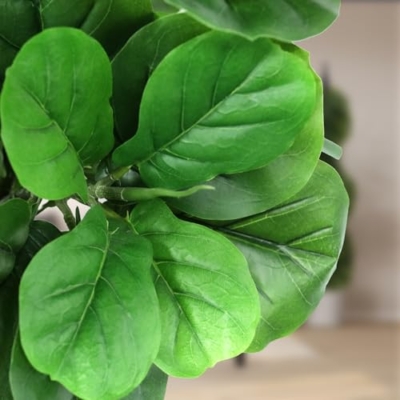 Product: 6ft Artificial Fiddle Leaf Fig Tree in Pot,Faux Fiddle Leaf Fig Tree,Large Artificial Tree for Living Room Office Home Decor and Housewarming Gift (1 Pack)