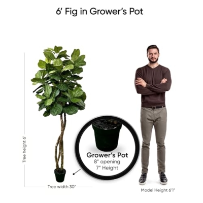 Silky Flower Store Fiddle Leaf Fig Artificial Tree, Cypress & Alabaster Handmade Green Faux Tree, Real Wood Trunk, 6ft 14 14 Product: Cypress & Alabaster Handmade 6ft Fiddle Leaf Fig Ficus Lyrata Artificial Tree with Ethically Sourced Real Wood Trunks, Hypoallergenic, 6-Foot, Green