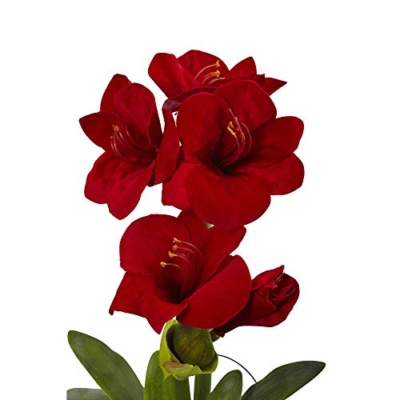 Silky Flower Store Nearly Natural Red Amaryllis Floral Arrangement with Vase, Artificial Crystal Pot Decor, 15 in x 15 in x 24 in 7 7 Product: Nearly Natural Amaryllis with Vase Floral Decor, 24", Red, 15 in x 15 in x 24 in