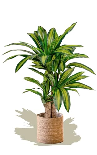 Product: Maia Shop 3.9ft Dracaena Artificial Plant, Fake Plants for Home Decor, Artificial Plants Indoor
