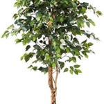 Product: Nearly Natural 6ft Triple Trunk Artificial Ficus Tree with Natural Wood Trunks, Fake Tree for Indoor Home Décor, Faux Ficus Tree with Black Nursery Pot