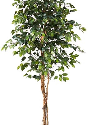Product: Nearly Natural 6ft Triple Trunk Artificial Ficus Tree with Natural Wood Trunks, Fake Tree for Indoor Home Décor, Faux Ficus Tree with Black Nursery Pot