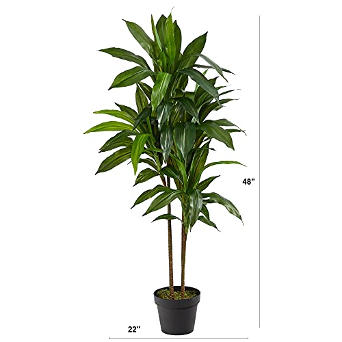 Product: Nearly Natural 30in. Agave Artificial Plant with Black Planter, Green and 48in. Dracaena Silk (Real Touch) Artificial Plant, 48", Green