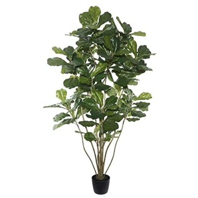 Product: Vickerman Everyday Faux Fiddle Leaf Fig Tree 6ft Tall Green Silk Artificial Indoor Fiddle Plant with 204 Large Fiddle Leaves and Multiple Stems Home Office Decor