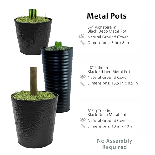 Product: LCG Florals Set of 3 Fig Trees in Black Metal Pots with Real-Wood Trunk - Low Maintenance Indoor and Outdoor Faux Plants for Living Rooms, Offices, Kitchens & Outdoor Spaces