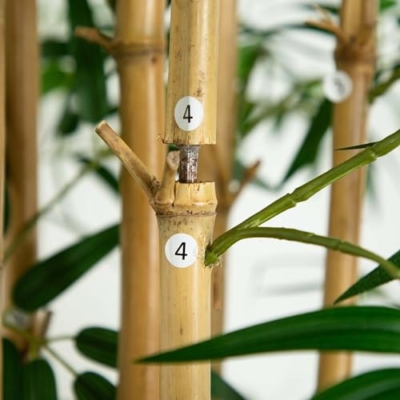 Product: Nearly Natural 10ft. Artificial Bamboo Tree with Real Bamboo Trunks