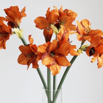 Product: Stunning 29.5" Silk Amaryllis Artificial Flowers - Minimalist Home Decor & Gift Idea in Orange