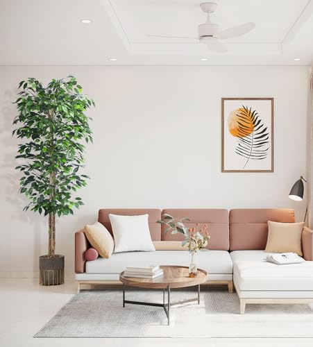 Product: HAIHONG 2Packs 6FT Artificial Ficus Trees with Realistic Leaves and Natural Trunk, Faux Ficus Tree with Sturdy Plastic Nursery Pot, Fake Ficus Tree for Office Home Farmhouse for Indoor Outdoor Decor