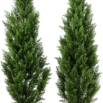 Product: COMUSTER 4FT Artificial Cedar Topiary Trees for Outdoors Potted Fake Cypress Trees Faux Evergreen Plants for Home Porch Decor Set of 2