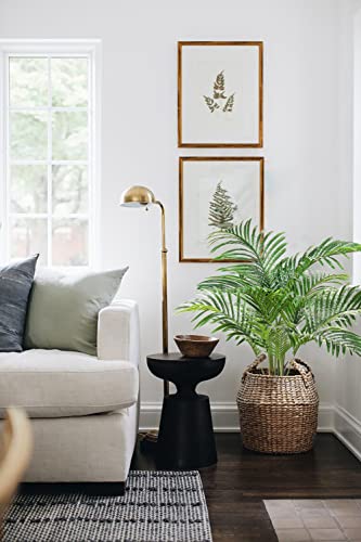 Product: Artificial Palm Silk Tree Plant 4ft Fake Tropical Bonsai Plants 48 Inch with Black Plastic Pot for Outdoor Indoor Home Office Decorations, 2 Pack
