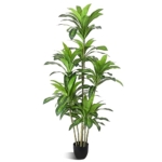 Product: Waoops Artificial Plants 6Ft Dracaena Fragrans Faux Trees with 8 Heads Fake Tree for Home Decor Indoor or Outdoor Office Decoration Housewarming Gift
