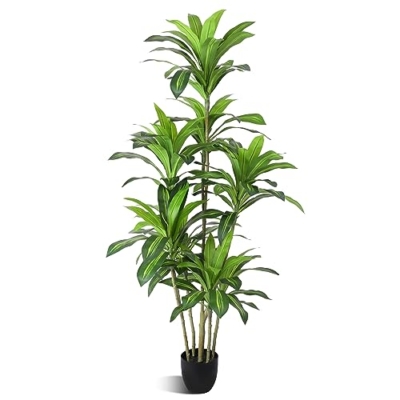 Product: Waoops Artificial Plants 6Ft Dracaena Fragrans Faux Trees with 8 Heads Fake Tree for Home Decor Indoor or Outdoor Office Decoration Housewarming Gift