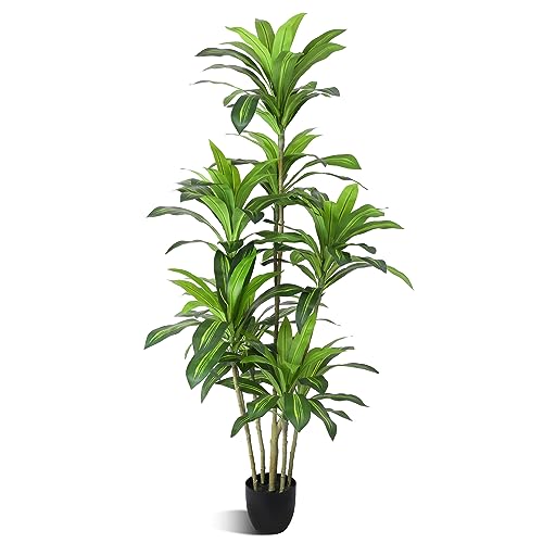 Product: Waoops Artificial Plants 6Ft Dracaena Fragrans Faux Trees with 8 Heads Fake Tree for Home Decor Indoor or Outdoor Office Decoration Housewarming Gift