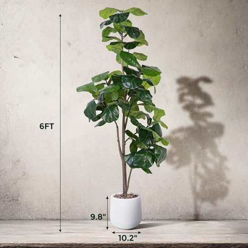Product: Jocoevol Artificial Fiddle Leaf Tree, 6ft Faux Plant Fake Ficus Lyrata Trees with White Planter, Artificial Fig Trees Floor Plants for House Office Living Room Indoor Home Decor, Housewarming Gift