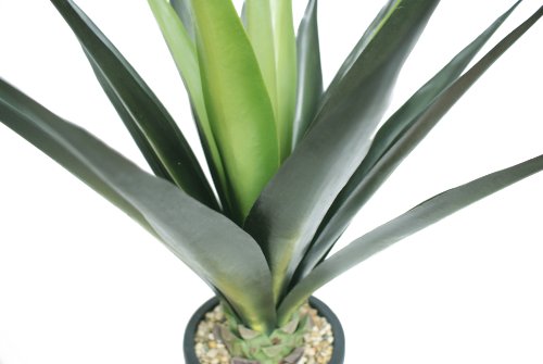 Silky Flower Store Vintage Faux Real Touch Agave Fiberstone Planter, Indoor Outdoor Decorative Pot, 44 Tall 3 3 Product: Vintage Home Artificial Faux Fake Vintage Real Touch Plastic 44" Tall Agave in Fiberstone Planter Perfect for Indoor/Outdoor