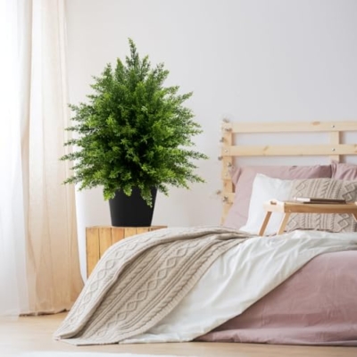 Silky Flower Store Artificial Cedar Topiary Ball Tree, Faux Potted Plants, UV Resistant Outdoor Decor, 21.5” 2Pack 10 10 Product: WAYNHUI Artificial Cedar Topiary Ball Tree, 21.5” 2pack Faux Potted Plants Artificial Shrubs Bushes with Cement Pot, Fake Evergreen Artificial Topiary for Indoor Outdoor Home Front Porch Decor