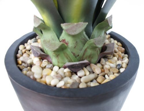 Silky Flower Store Vintage Faux Real Touch Agave Fiberstone Planter, Indoor Outdoor Decorative Pot, 44 Tall 1 1 Product: Vintage Home Artificial Faux Fake Vintage Real Touch Plastic 44" Tall Agave in Fiberstone Planter Perfect for Indoor/Outdoor