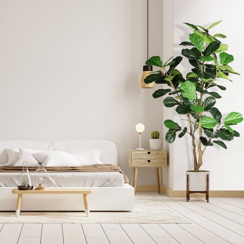 Silky Flower Store Artificial Fiddle Leaf Fig Tree, 6ft Faux Indoor Plant, Lifelike Home Office Decor, 6ft 7 7 Product: FEELEAD Artificial Fiddle Leaf Fig Tree - 6ft Artificial Plant Large Fake Fig Leaf Tree with Plastic Nursery Pot - Faux Ficus Lyrata Tree Artificial Fig Trees for Home Office Store Decor Indoor