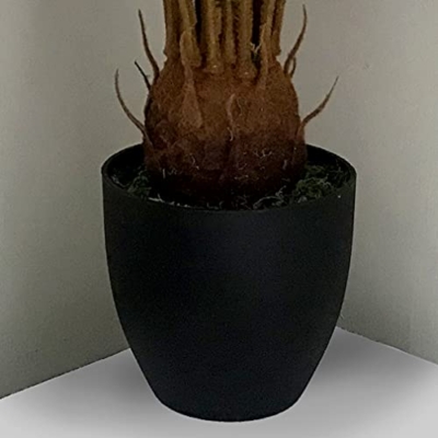 Product: Leaf Design UK Large Artificial Palm Tree, Cycas Tropical, 70cm