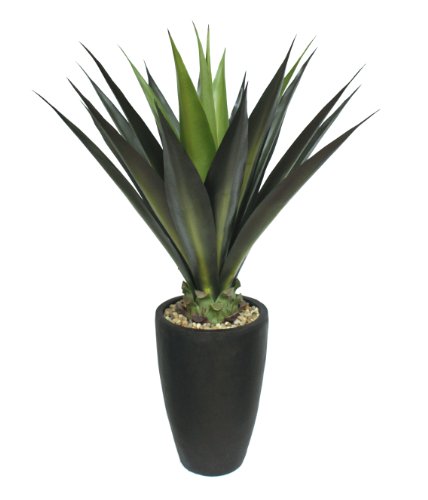 Vintage Home Artificial Faux Fake Vintage Real Touch Plastic 44" Tall Agave in Fiberstone Planter Perfect for Indoor/Outdoor - Artificial Flower Arrangements Product: Vintage Home Artificial Faux Fake Vintage Real Touch Plastic 44" Tall Agave in Fiberstone Planter Perfect for Indoor/Outdoor