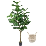 Product: Warmplants Artificial Fiddle Leaf Fig Tree, 6ft Tall Fake Fiddle Leaves Silk Plant with Woven Basket, Decorative Faux Ficus Lyrata Tree for Indoor Outdoor Home Office Living Room