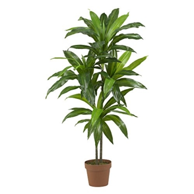 Product: Nearly Natural 48in. Dracaena Silk (Real Touch) Artificial Plant, 48", Green 5357 4ft. Golden Cane Palm Tree,Green