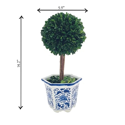 Product: Galt International Preserved Boxwood Topiary Tree in Blue & White Ceramic Pot - Plant and Table Centerpiece Stunning Greenery and Plant Decor for Home 5.9" Diameter Topiary 14" Tall