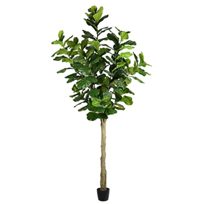 Product: Vickerman Everyday Faux Fiddle Leaf Fig Tree 10ft Tall Green Silk Artificial Indoor Fiddle Plant With 184 Large Fiddle Leaves Single Stem Home Office Decor