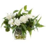 Product: Stunning 17" Amaryllis & Skimmia Arrangement - Perfect for Home Decor