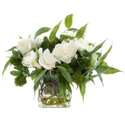 Product: Stunning 17" Amaryllis & Skimmia Arrangement - Perfect for Home Decor