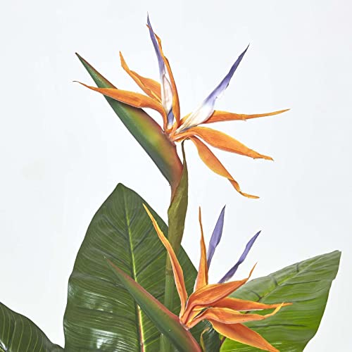 Silky Flower Store Artificial Bird of Paradise Flower, Fake Strelitzia Plant, Black Pot, 120cm Tall 5 5 Product: HOMESCAPES Artificial Bird of Paradise Flower 120 cm Tall Fake Strelitzia Plant in Black Pot