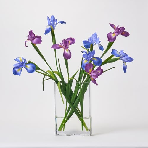 Silky Flower Store Real Touch Artificial Periwinkle Purple Iris Stems, Faux Lavender Violet Flowers, Home Office Decor 32.5cm 5 5 Product: Vibrant Periwinkle & Purple Iris Stems - Real Touch DIY Artificial Flowers for Home Decor & Office Ambiance
