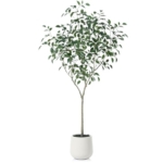 Product: OAKRED Artificial Ficus Tree, 6FT Fake Plastic Plants for Indoor, Faux Ficus Tree with White Planter, Tall Artificial Plants for Home Decor Indoor, Set of 1