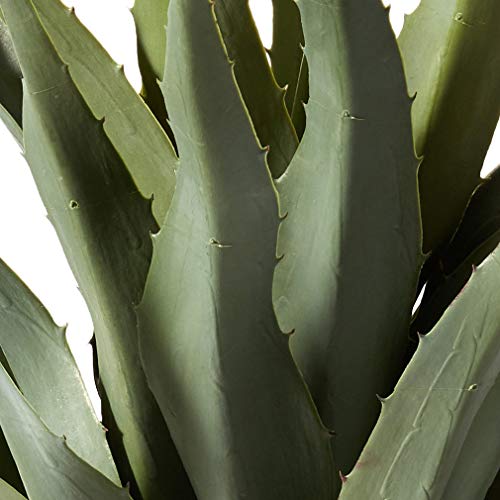 Product: Nearly Natural 30in. Agave Artificial Plant with Black Planter, Green and 48in. Dracaena Silk (Real Touch) Artificial Plant, 48", Green