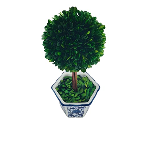 Product: Galt International Preserved Boxwood Topiary Tree in Blue & White Ceramic Pot - Plant and Table Centerpiece Stunning Greenery and Plant Decor for Home 5.9" Diameter Topiary 14" Tall