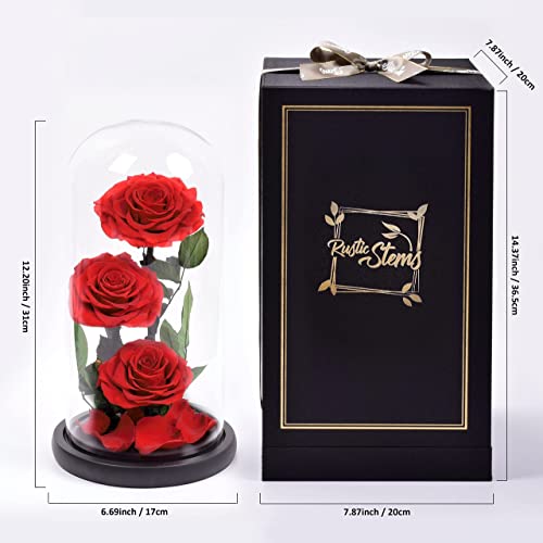 Silky Flower Store Preserved Real Rose Glass Dome, Rustic Stems Eternal Flower Gift, Luxury Decorative Floral Display 20.5cm 3 3 Product: RUSTIC STEMS Luxury Preserved Real Rose in Glass Dome - Eternal Flower Gift for Mom, Wife, Girlfriend | Perfect for Valentine's, Weddings, Birthdays & Christmas