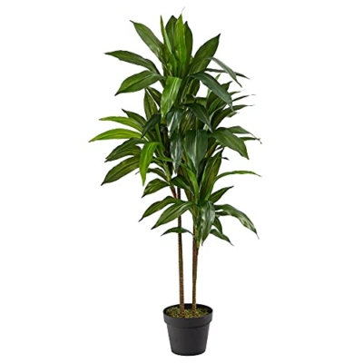 Product: Nearly Natural 30in. Agave Artificial Plant with Black Planter, Green and 48in. Dracaena Silk (Real Touch) Artificial Plant, 48", Green